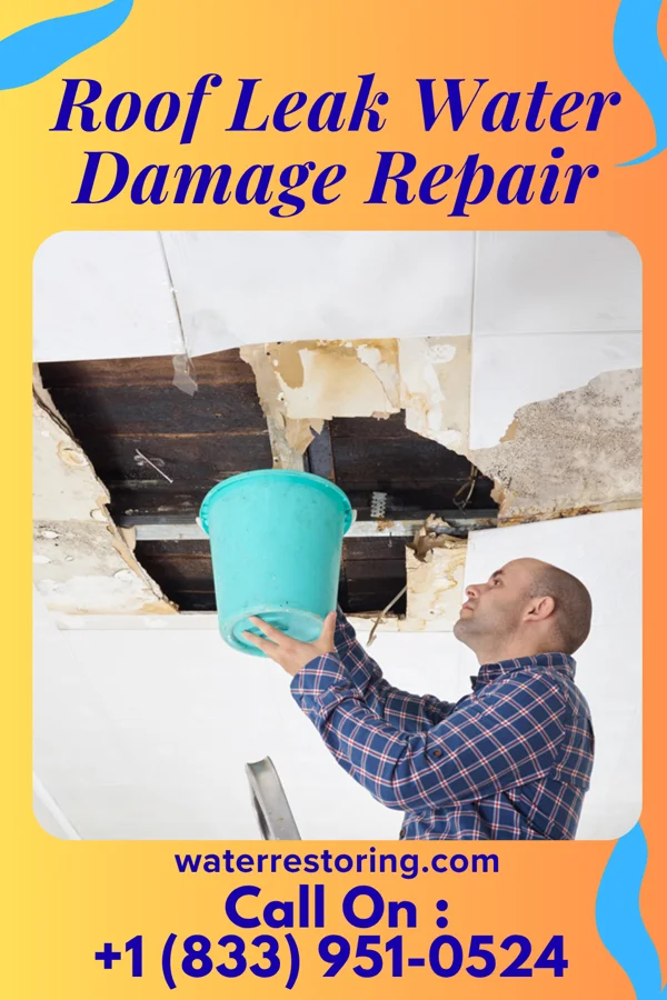 Roof Leak Water Damage Repair in West Mountain, UT